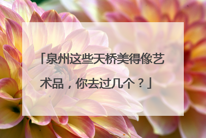 泉州这些天桥美得像艺术品，你去过几个？