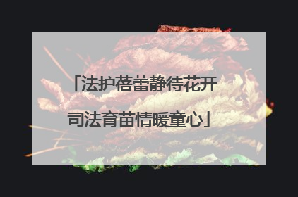 法护蓓蕾静待花开 司法育苗情暖童心