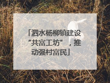 泗水杨柳镇建设“共富工坊”，推动强村富民