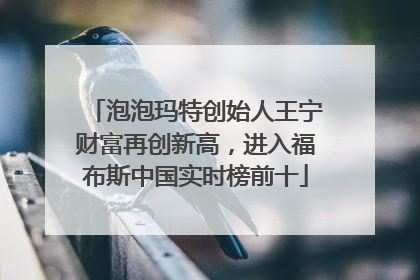 泡泡玛特创始人王宁财富再创新高，进入福布斯中国实时榜前十