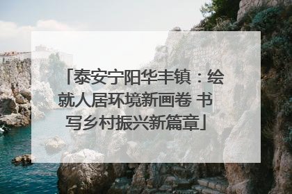 泰安宁阳华丰镇：绘就人居环境新画卷 书写乡村振兴新篇章