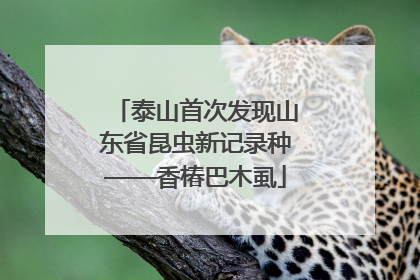 泰山首次发现山东省昆虫新记录种——香椿巴木虱