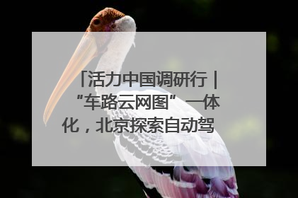 活力中国调研行｜“车路云网图”一体化，北京探索自动驾驶“加速度”