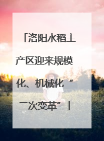 洛阳水稻主产区迎来规模化、机械化“二次变革”