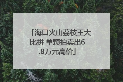 海口火山荔枝王大比拼 单颗拍卖出6.8万元高价