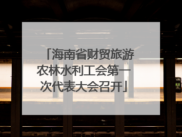 海南省财贸旅游农林水利工会第一次代表大会召开