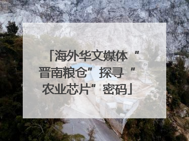 海外华文媒体“晋南粮仓”探寻“农业芯片”密码