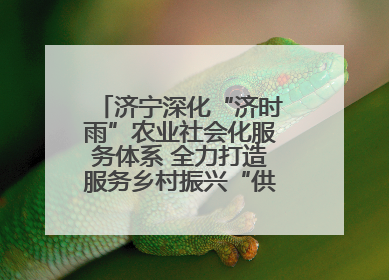 济宁深化“济时雨”农业社会化服务体系 全力打造服务乡村振兴“供销样板”