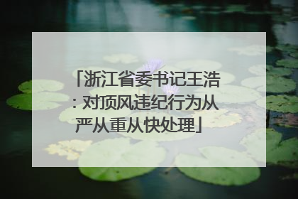 浙江省委书记王浩：对顶风违纪行为从严从重从快处理