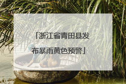 浙江省青田县发布暴雨黄色预警