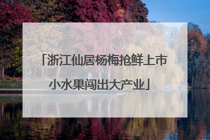 浙江仙居杨梅抢鲜上市 小水果闯出大产业