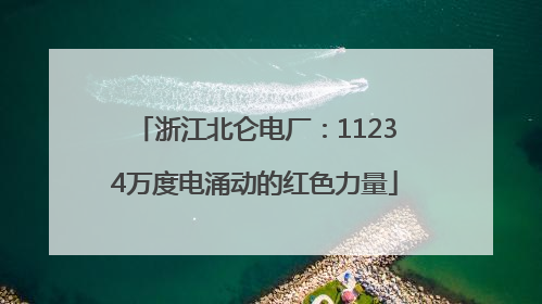 浙江北仑电厂：11234万度电涌动的红色力量