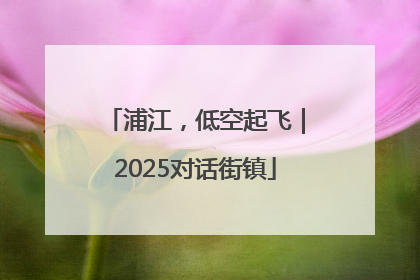 浦江，低空起飞｜2025对话街镇