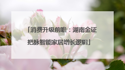 消费升级前瞻：湖南金证把脉智能家居增长逻辑