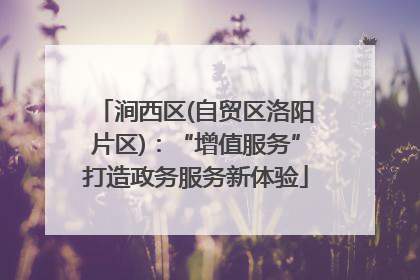 涧西区(自贸区洛阳片区)：“增值服务”打造政务服务新体验