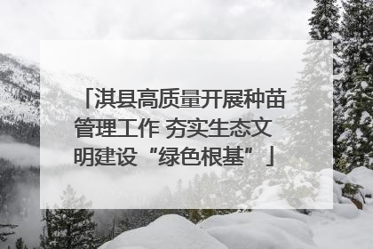 淇县高质量开展种苗管理工作 夯实生态文明建设“绿色根基”