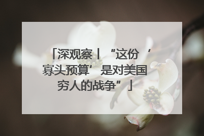 深观察丨“这份‘寡头预算’是对美国穷人的战争”