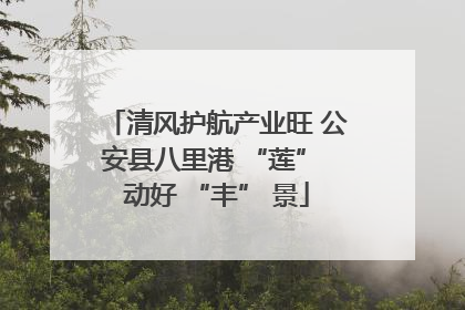 清风护航产业旺 公安县八里港 “莲” 动好 “丰” 景