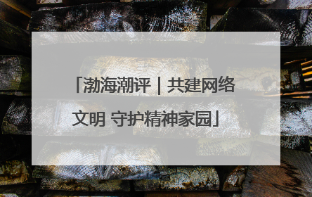 渤海潮评｜共建网络文明 守护精神家园