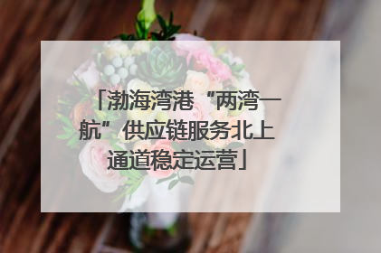渤海湾港“两湾一航”供应链服务北上通道稳定运营