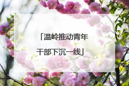 温岭推动青年干部下沉一线