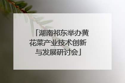 湖南祁东举办黄花菜产业技术创新与发展研讨会