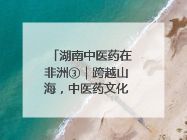湖南中医药在非洲③｜跨越山海，中医药文化浸润非洲