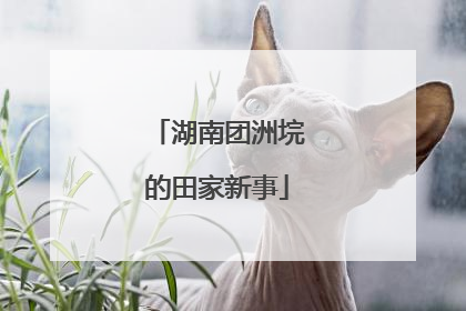湖南团洲垸的田家新事