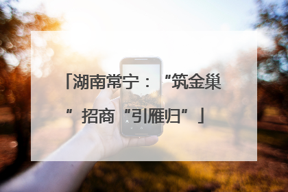 湖南常宁：“筑金巢”招商“引雁归”
