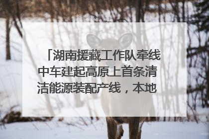 湖南援藏工作队牵线中车建起高原上首条清洁能源装配产线，本地大学生成车间检验员