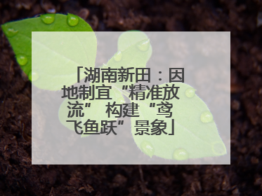 湖南新田：因地制宜“精准放流” 构建“鸢飞鱼跃”景象