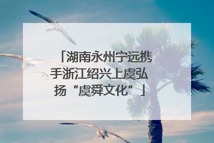 湖南永州宁远携手浙江绍兴上虞弘扬“虞舜文化”
