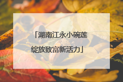 湖南江永小碗莲绽放致富新活力