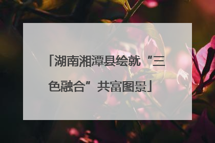 湖南湘潭县绘就“三色融合”共富图景