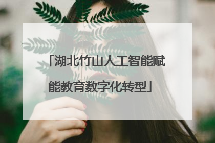 湖北竹山人工智能赋能教育数字化转型