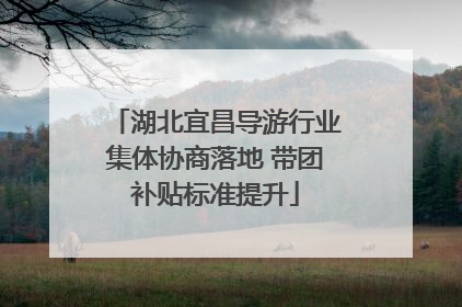 湖北宜昌导游行业集体协商落地 带团补贴标准提升