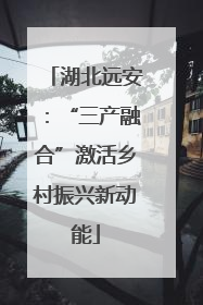 湖北远安：“三产融合”激活乡村振兴新动能