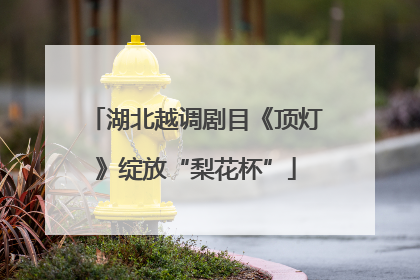 湖北越调剧目《顶灯》绽放“梨花杯”