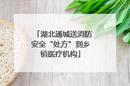 湖北通城送消防安全“处方”到乡镇医疗机构
