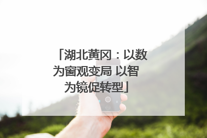 湖北黄冈：以数为窗观变局 以智为镜促转型