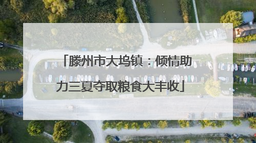 滕州市大坞镇：倾情助力三夏夺取粮食大丰收