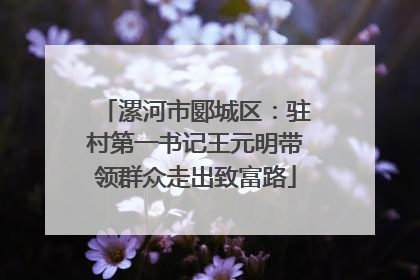 漯河市郾城区：驻村第一书记王元明带领群众走出致富路