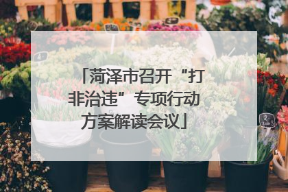 菏泽市召开“打非治违”专项行动方案解读会议