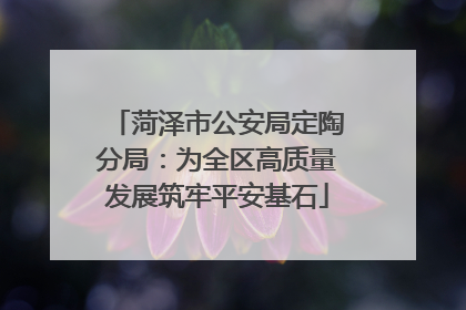 菏泽市公安局定陶分局：为全区高质量发展筑牢平安基石