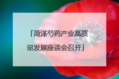 菏泽芍药产业高质量发展座谈会召开