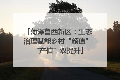 菏泽鲁西新区：生态治理赋能乡村“颜值”“产值”双提升