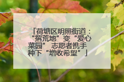 荷塘区明照街道：“撂荒地”变“爱心菜园” 志愿者携手种下“增收希望”