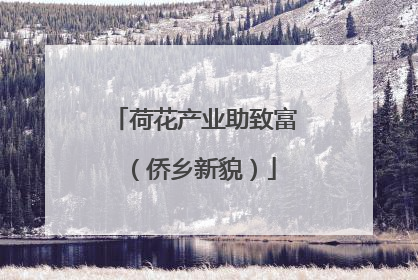 荷花产业助致富（侨乡新貌）