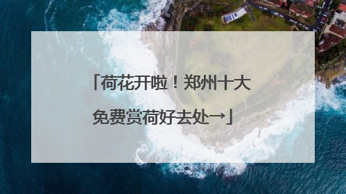 荷花开啦！郑州十大免费赏荷好去处→