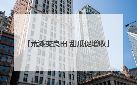 荒滩变良田 甜瓜促增收